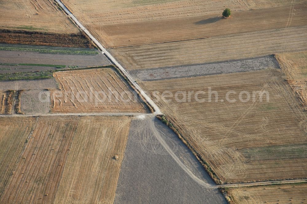 Aerial image Manacor - Structures on agricultural fields after the harvest at Manacor in Mallorca in Balearic Islands, Spain