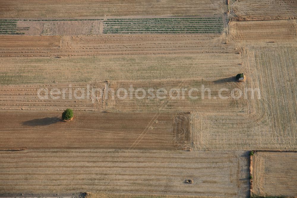 Aerial photograph Manacor - Structures on agricultural fields after the harvest at Manacor in Mallorca in Balearic Islands, Spain