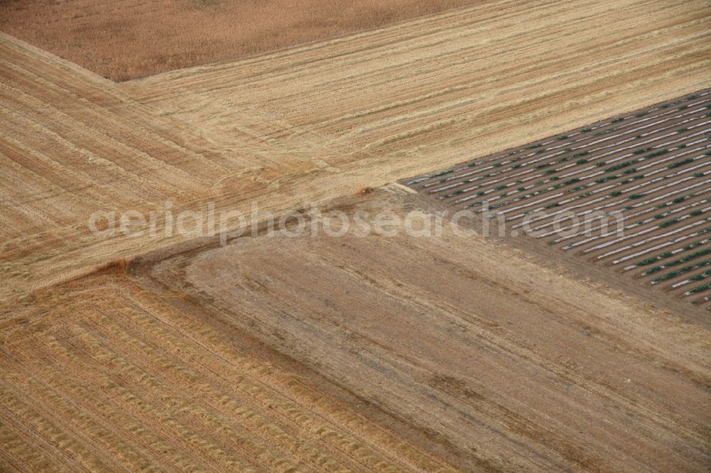 Manacor from above - Structures on agricultural fields after the harvest at Manacor in Mallorca in Balearic Islands, Spain