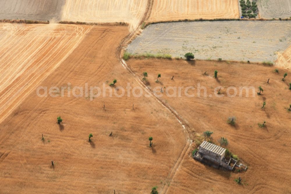 Manacor from the bird's eye view: Structures on agricultural fields after the harvest at Manacor in Mallorca in Balearic Islands, Spain