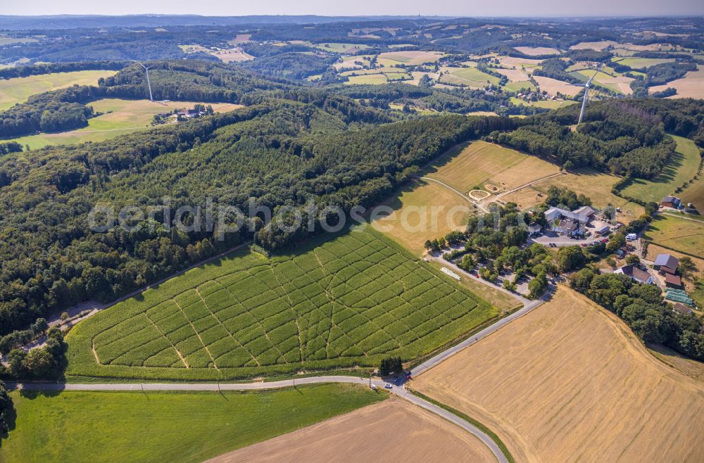 Aerial image Niederelfringhausen - Structures on agricultural fields in Niederelfringhausen at Ruhrgebiet in the state North Rhine-Westphalia, Germany