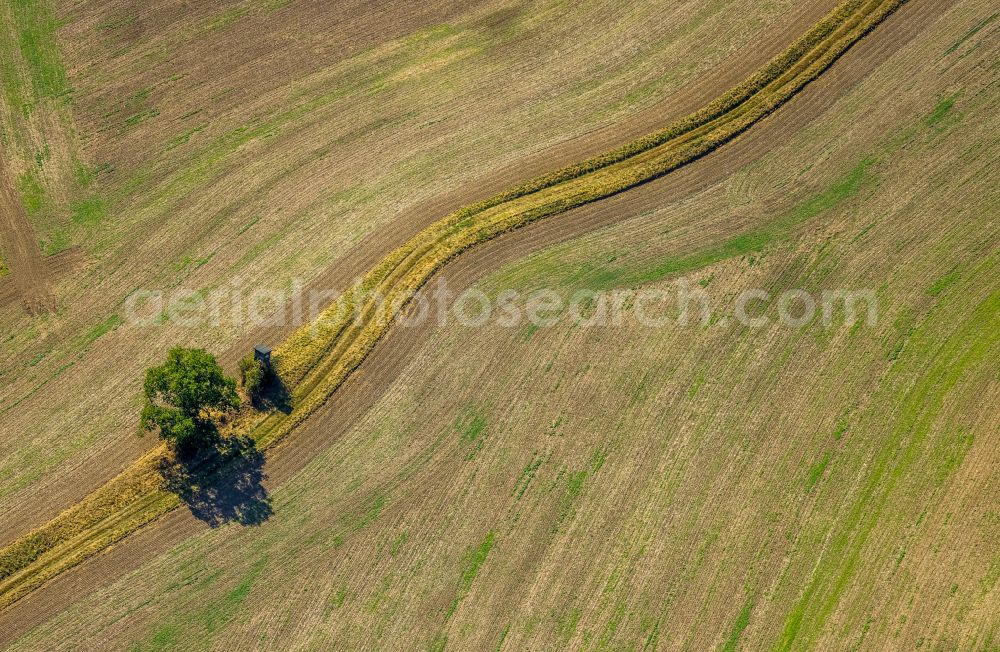 Aerial image Oberbredenscheid - Structures on agricultural fields in Oberbredenscheid in the state North Rhine-Westphalia, Germany