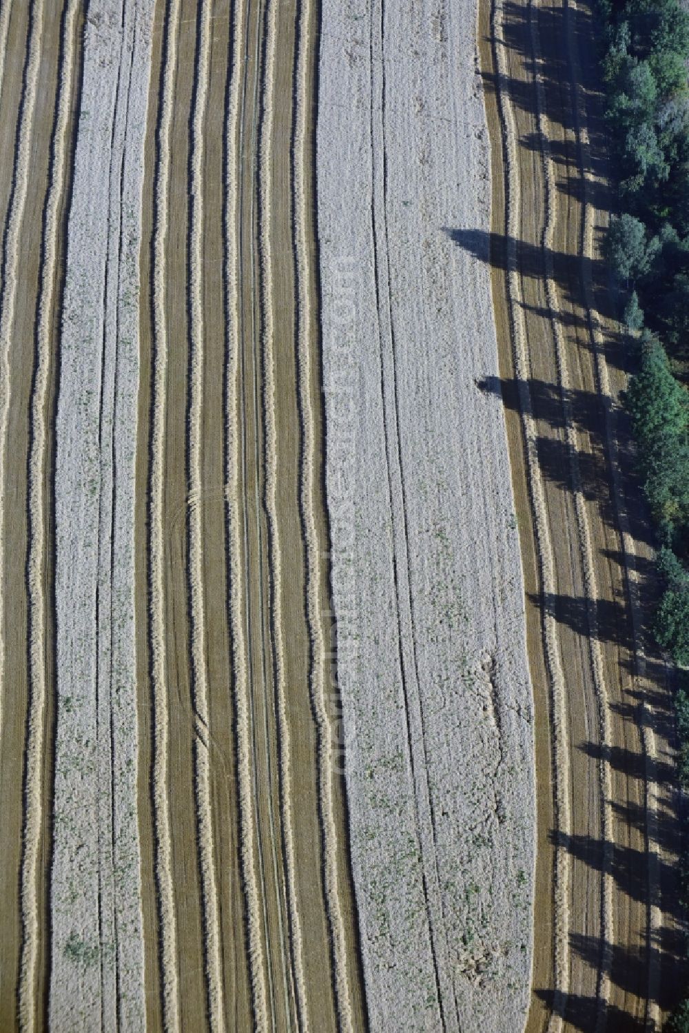 Aerial photograph Oberdorf - Structures on agricultural fields in Oberdorf in the state Saxony