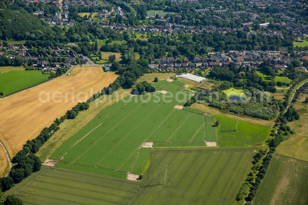 Oberhausen from above - Structures on agricultural fields in Oberhausen in the state North Rhine-Westphalia