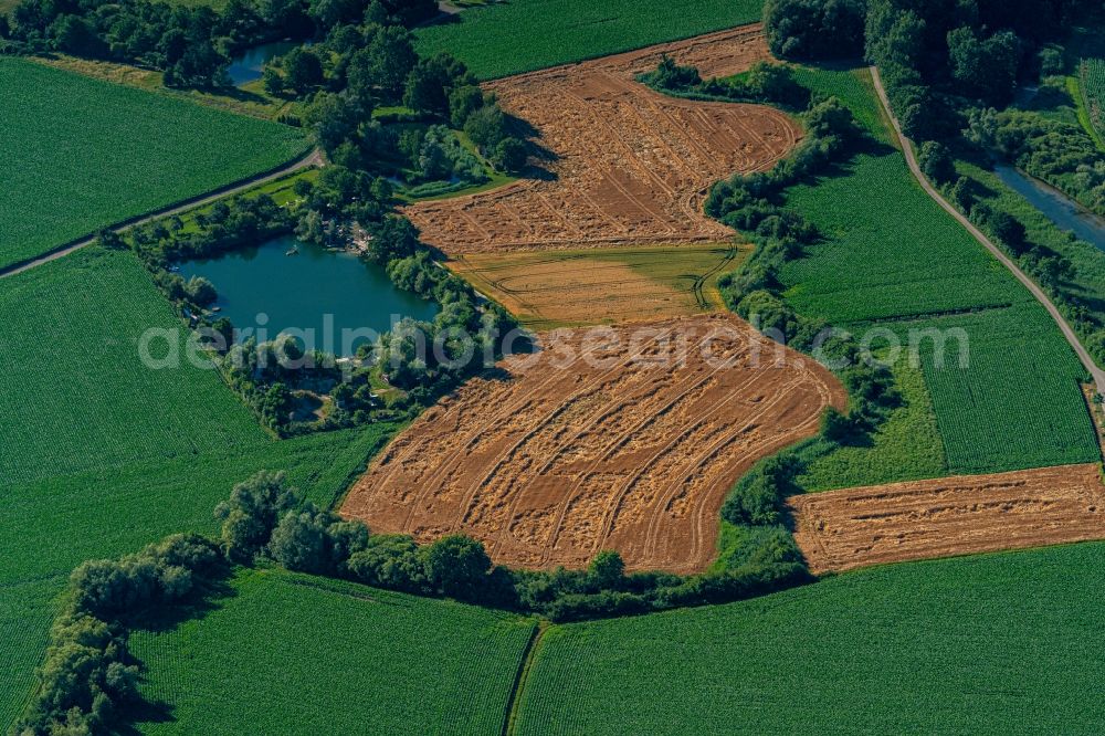 Rheinhausen from above - Structures on agricultural fields in Oberrheingraben in Rheinhausen in the state Baden-Wurttemberg, Germany