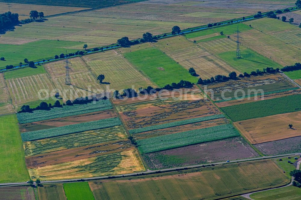 Aerial image Rheinhausen - Structures on agricultural fields in Oberrheingraben in Rheinhausen in the state Baden-Wurttemberg, Germany