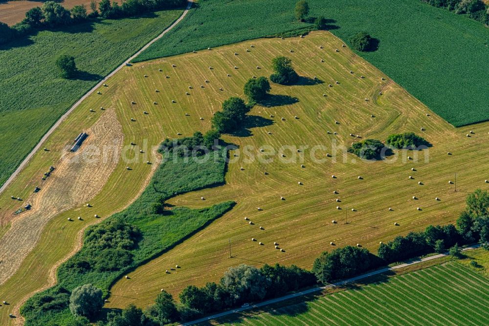 Aerial image Rheinhausen - Structures on agricultural fields in Oberrheingraben in Rheinhausen in the state Baden-Wurttemberg, Germany