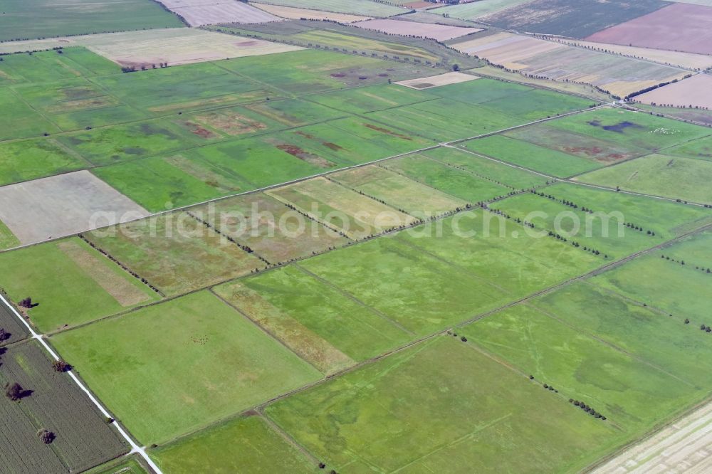 Aerial image Oldisleben - Structures on agricultural fields in Oldisleben in the state Thuringia, Germany