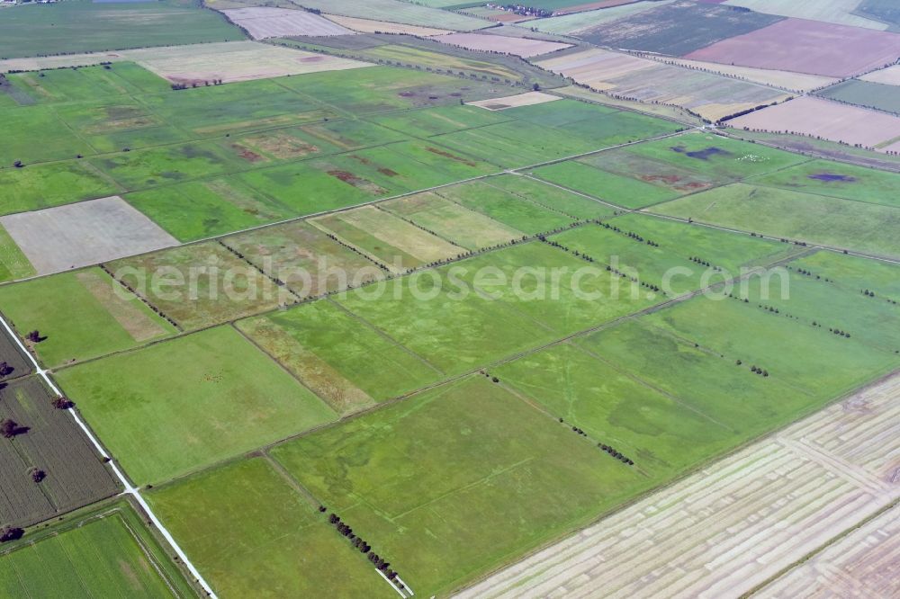 Aerial photograph Oldisleben - Structures on agricultural fields in Oldisleben in the state Thuringia, Germany