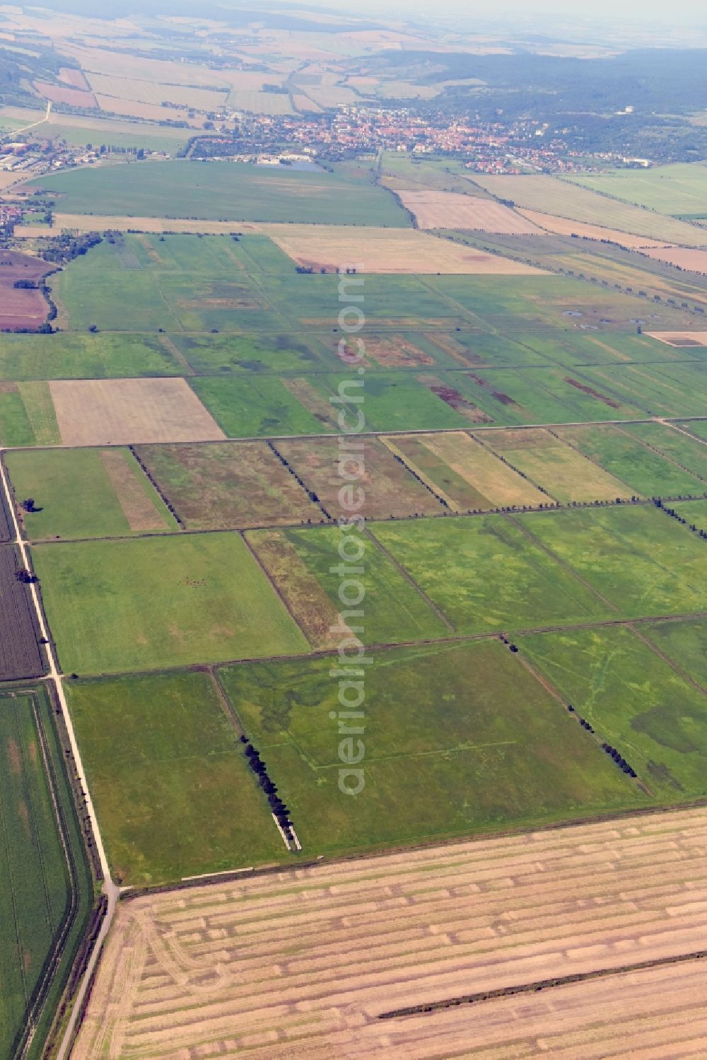 Oldisleben from above - Structures on agricultural fields in Oldisleben in the state Thuringia, Germany