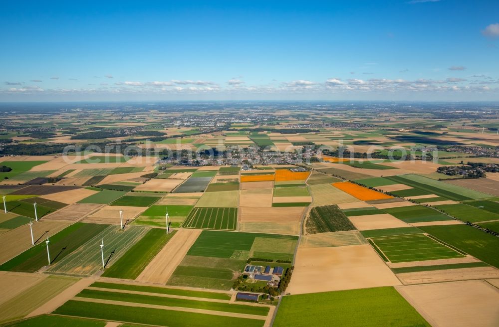 Erkelenz from the bird's eye view: Structures on agricultural fields in the district Bellinghoven in Erkelenz in the state North Rhine-Westphalia