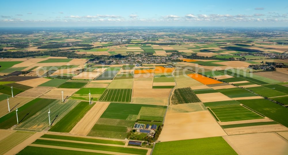 Aerial image Erkelenz - Structures on agricultural fields in the district Bellinghoven in Erkelenz in the state North Rhine-Westphalia