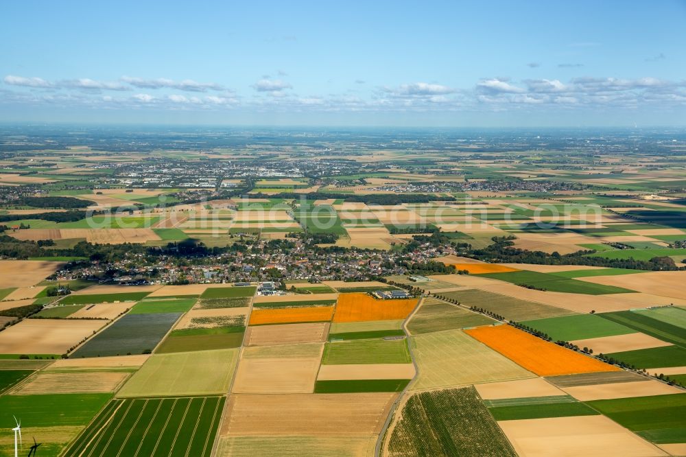 Aerial photograph Erkelenz - Structures on agricultural fields in the district Bellinghoven in Erkelenz in the state North Rhine-Westphalia