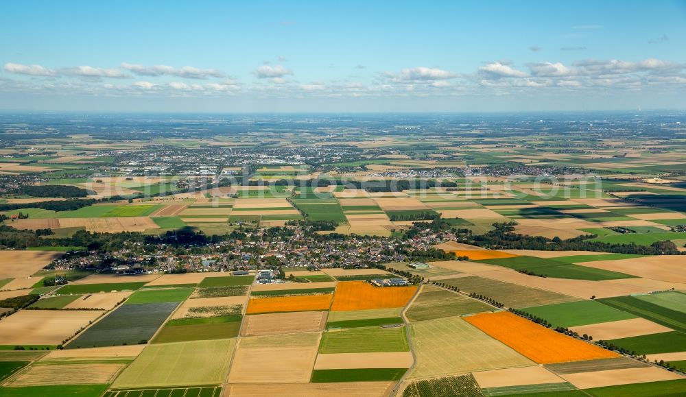 Erkelenz from above - Structures on agricultural fields in the district Bellinghoven in Erkelenz in the state North Rhine-Westphalia