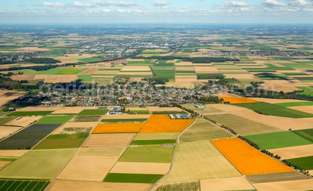 Erkelenz from the bird's eye view: Structures on agricultural fields in the district Bellinghoven in Erkelenz in the state North Rhine-Westphalia