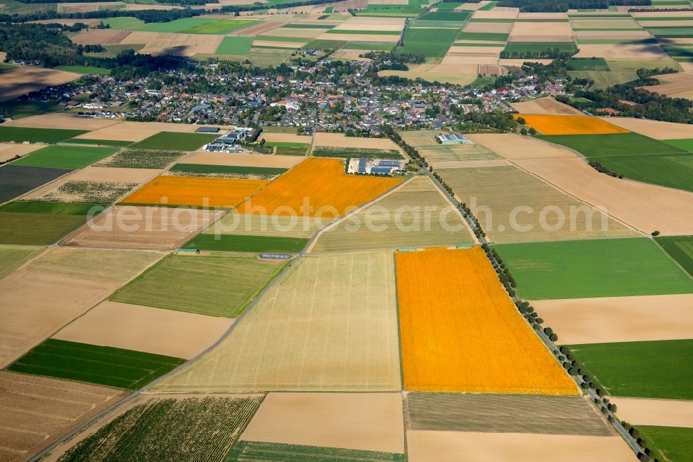 Aerial photograph Erkelenz - Structures on agricultural fields in the district Bellinghoven in Erkelenz in the state North Rhine-Westphalia