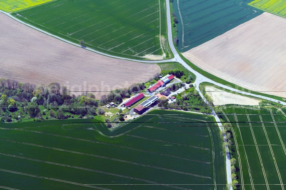 Bautzen from above - Structures on agricultural fields in the district Stiebitz in Bautzen in the state Saxony, Germany