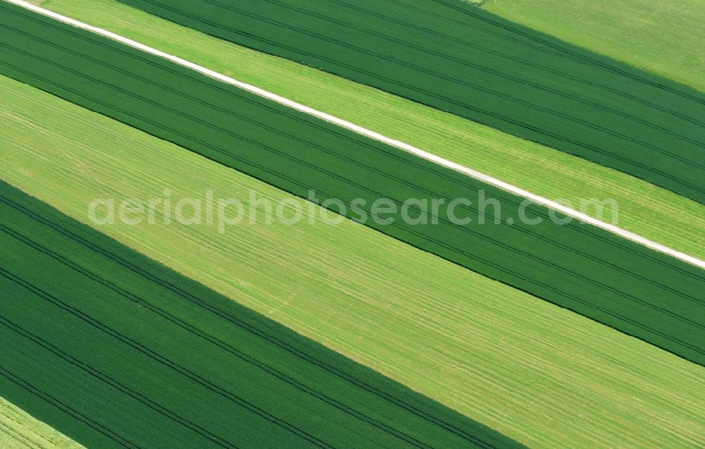 Bodenkirchen from the bird's eye view: Structures on agricultural fields in the district Westenthann in Bodenkirchen in the state Bavaria, Germany