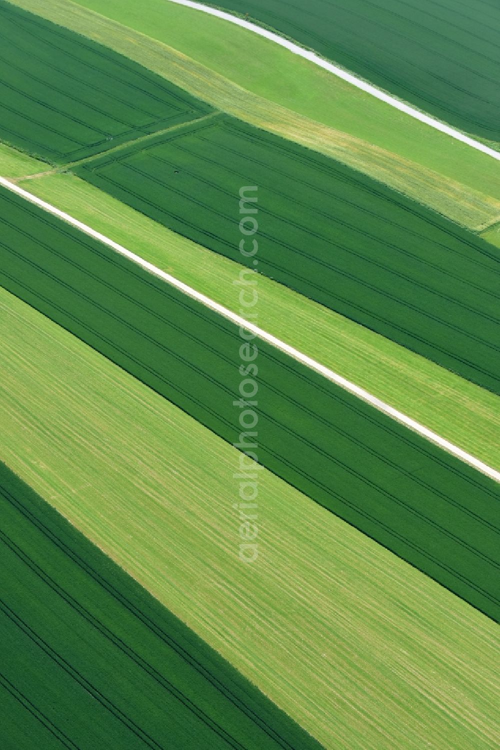 Aerial image Bodenkirchen - Structures on agricultural fields in the district Westenthann in Bodenkirchen in the state Bavaria, Germany