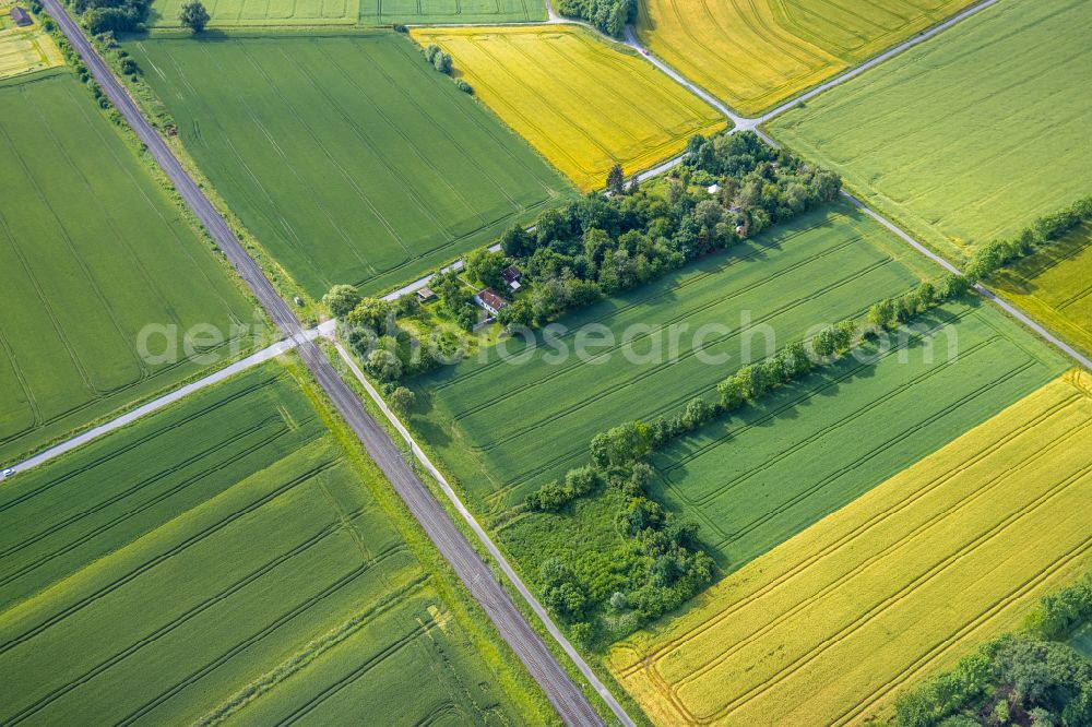 Osttünnen from above - Structures on agricultural fields in Osttünnen in the state North Rhine-Westphalia, Germany