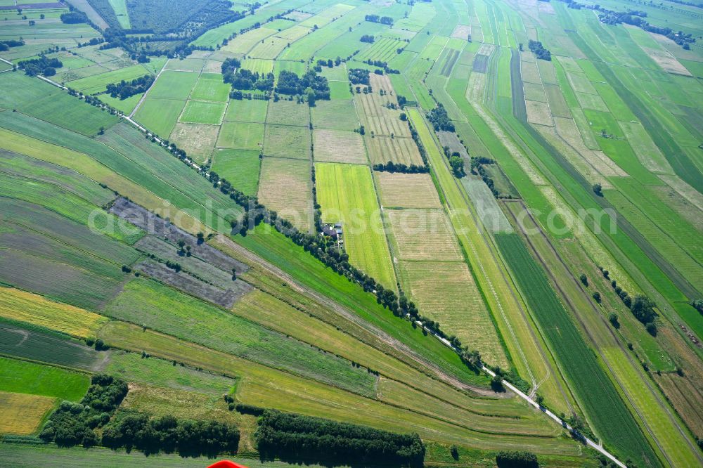 Ovelgönne from above - Structures on agricultural fields in Ovelgoenne in the state Lower Saxony, Germany