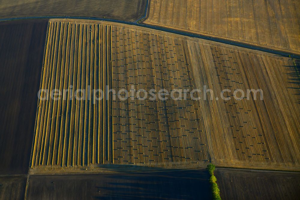 Querfurt from the bird's eye view: Structures on agricultural fields in Querfurt in the state Saxony-Anhalt, Germany
