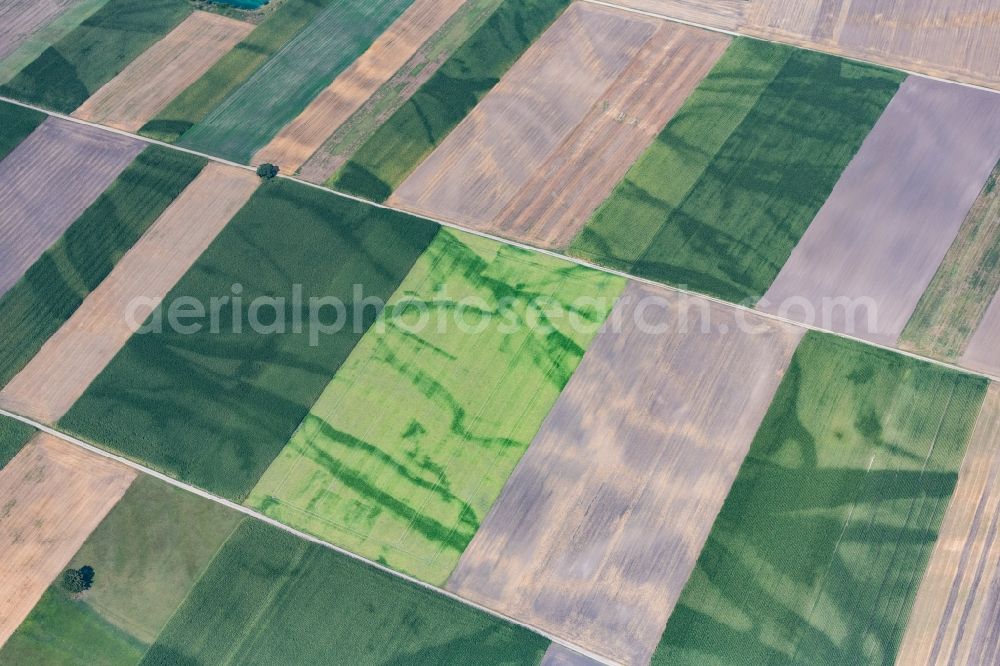 Aerial photograph Rehling - Structures on agricultural fields in Rehling in the state Bavaria, Germany