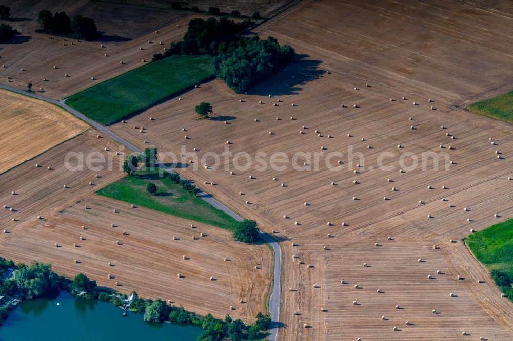 Aerial photograph Rheinhausen - Structures on agricultural fields in Rheinhausen in the state Baden-Wurttemberg, Germany