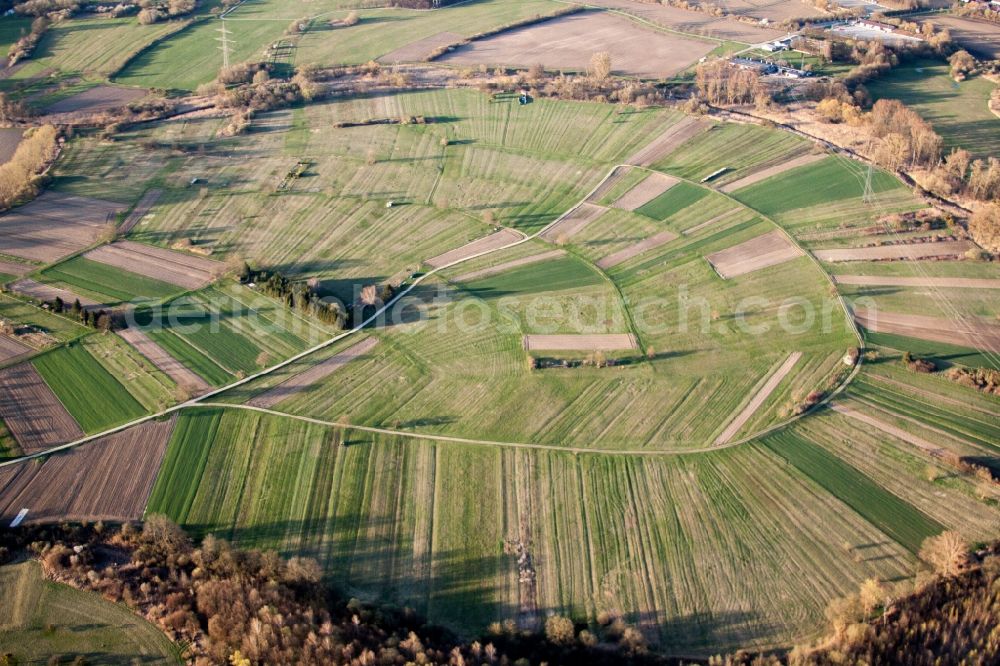 Aerial image Au am Rhein - Structures on agricultural fields in the Rhine low lands near Au am Rheim in the state Baden-Wuerttemberg