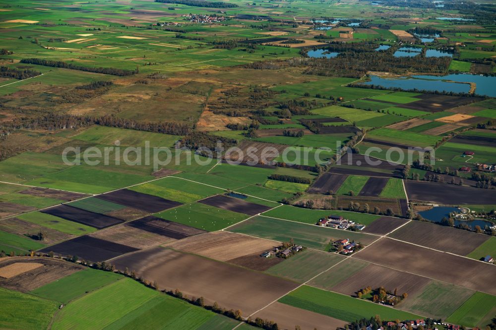 Aerial photograph Riedheim - Structures on agricultural fields in Riedheim in the state Bavaria, Germany