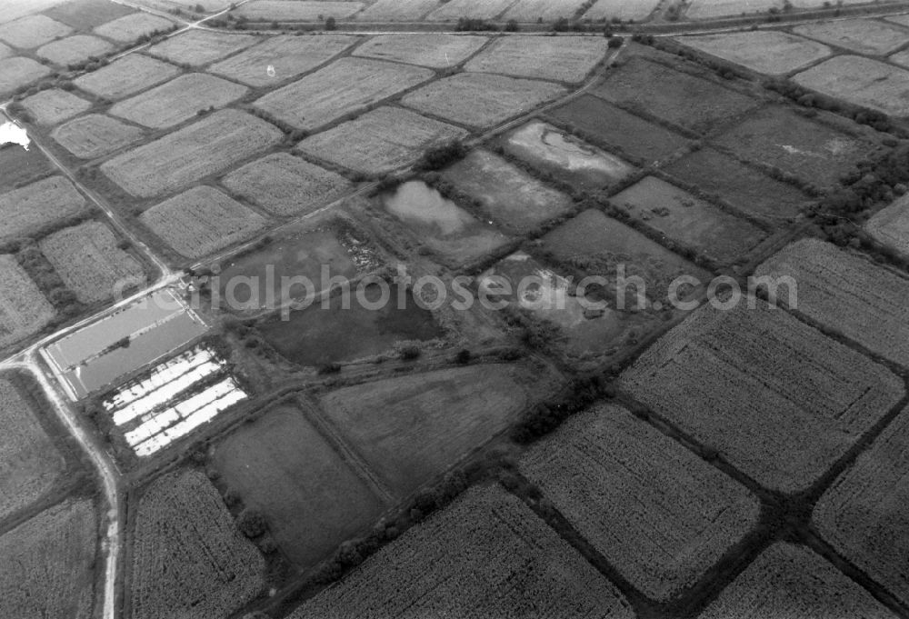 Aerial photograph Rotberg - Structures on agricultural fields in Rotberg in the state Brandenburg, Germany