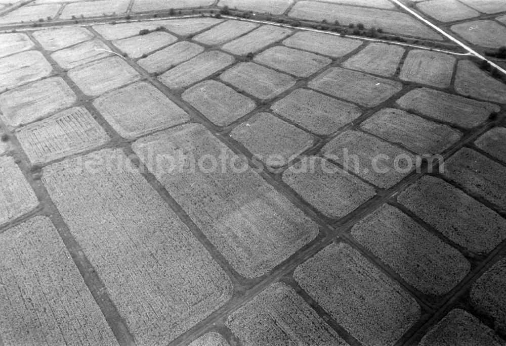 Rotberg from above - Structures on agricultural fields in Rotberg in the state Brandenburg, Germany