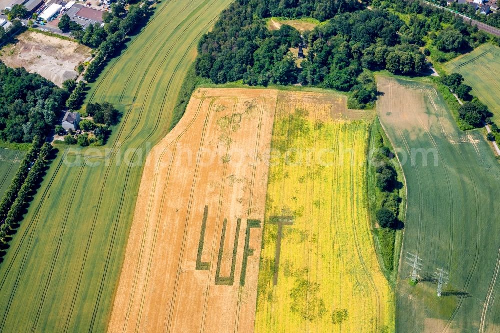 Gelsenkirchen from the bird's eye view: Structures on agricultural fields with lettering AIR in the district Mechtenberg in Gelsenkirchen in the state North Rhine-Westphalia, Germany