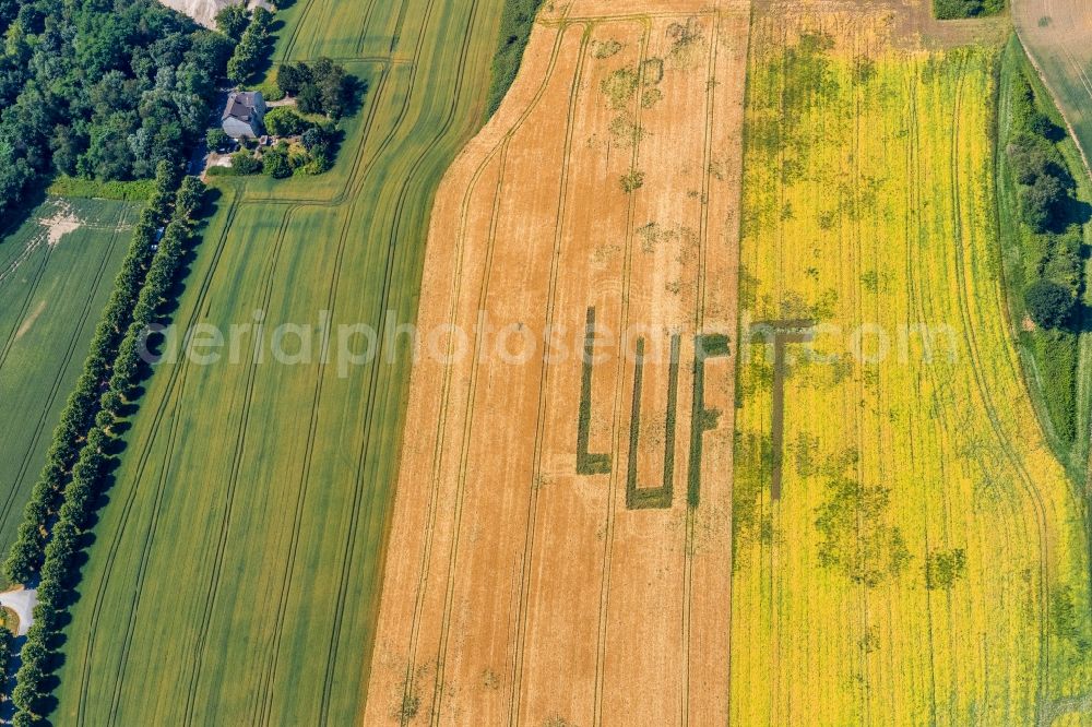 Aerial photograph Gelsenkirchen - Structures on agricultural fields with lettering AIR in the district Mechtenberg in Gelsenkirchen in the state North Rhine-Westphalia, Germany