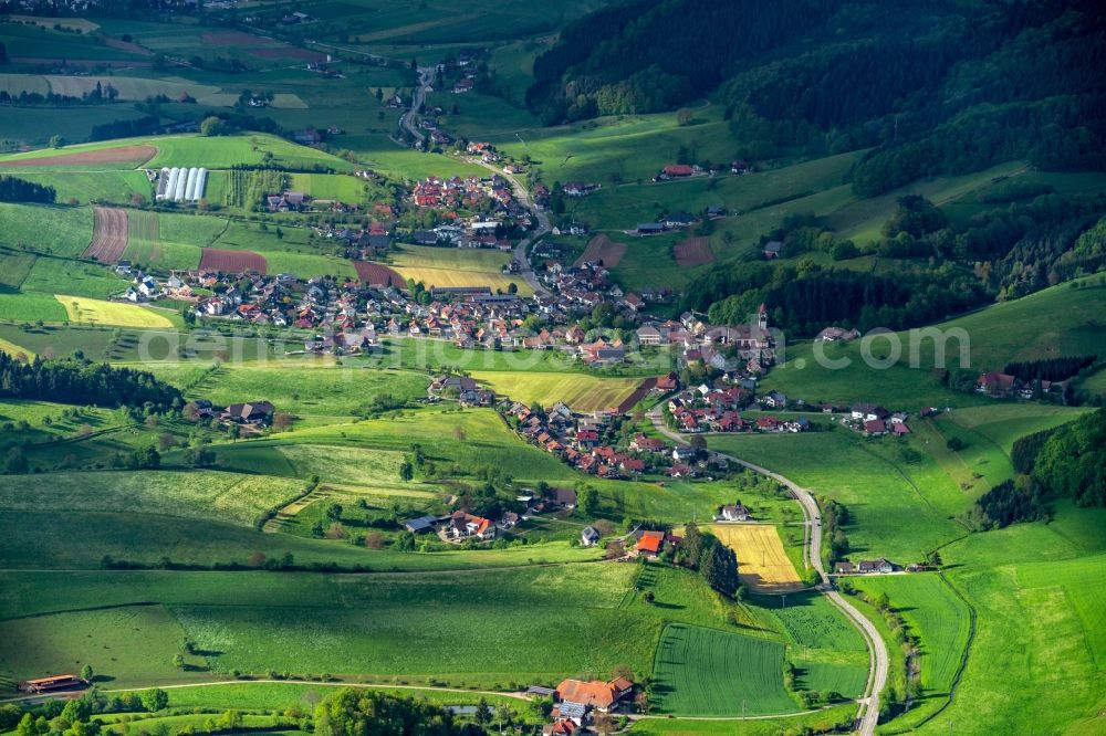 Aerial photograph Schuttertal - Structures on agricultural fields in Schuttertal in Schuttertal in the state Baden-Wurttemberg, Germany