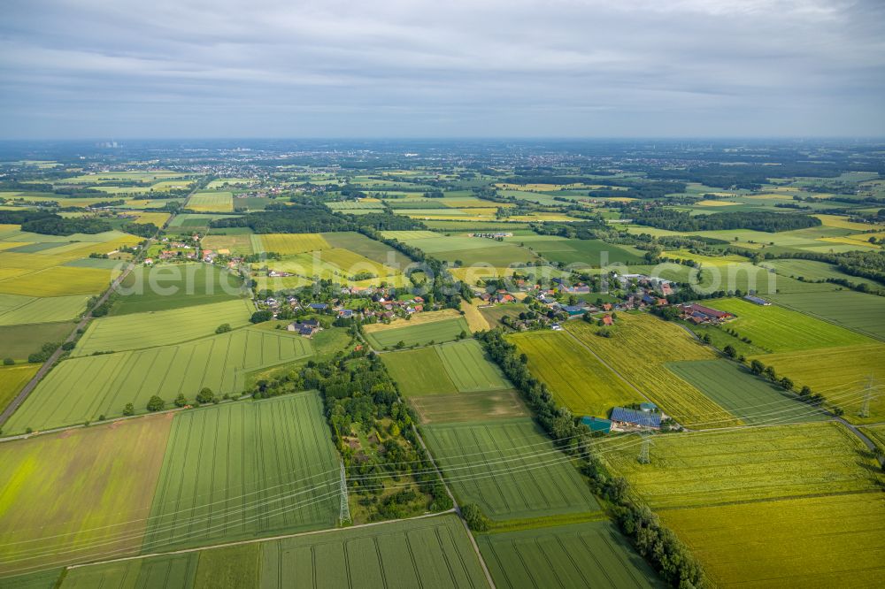 Süddinker from the bird's eye view: Structures on agricultural fields in Süddinker at Ruhrgebiet in the state North Rhine-Westphalia, Germany