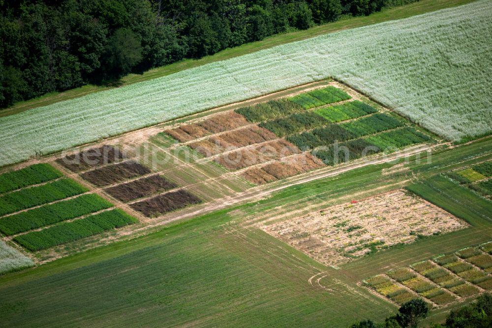 Aerial image Stuttgart - Structures on agricultural fields in the district Hohenheim in Stuttgart in the state Baden-Wuerttemberg, Germany