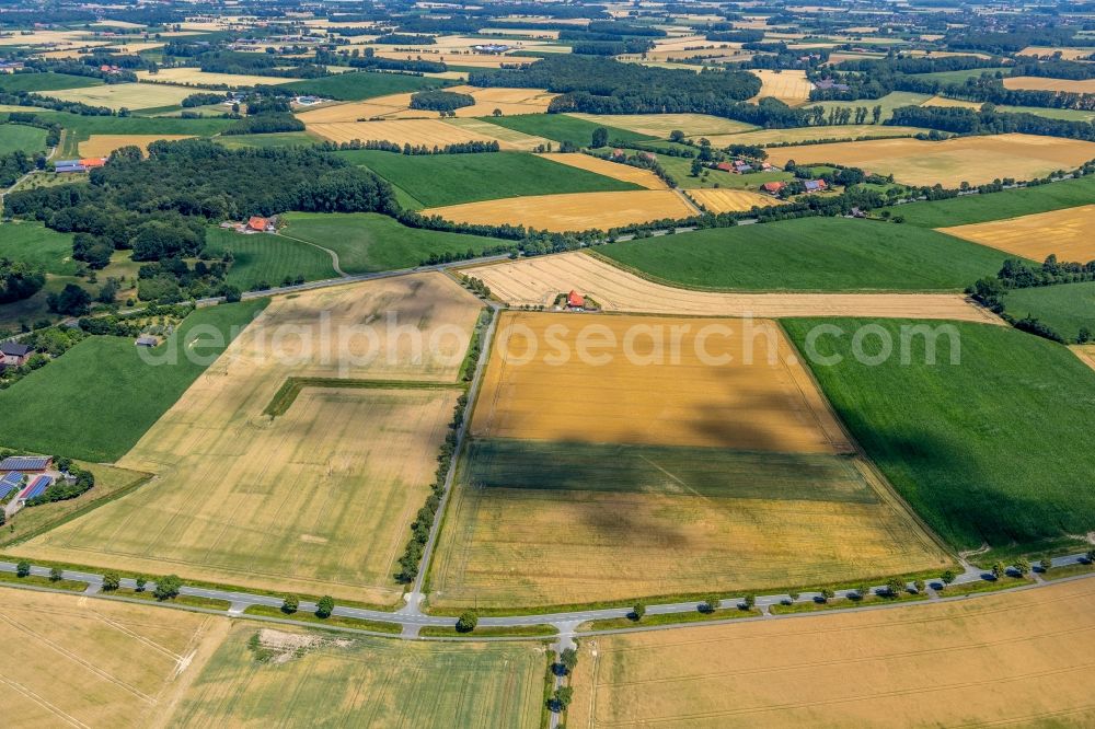 Sendenhorst from the bird's eye view: Structures on agricultural fields on Sudfeld in Sendenhorst in the state North Rhine-Westphalia, Germany