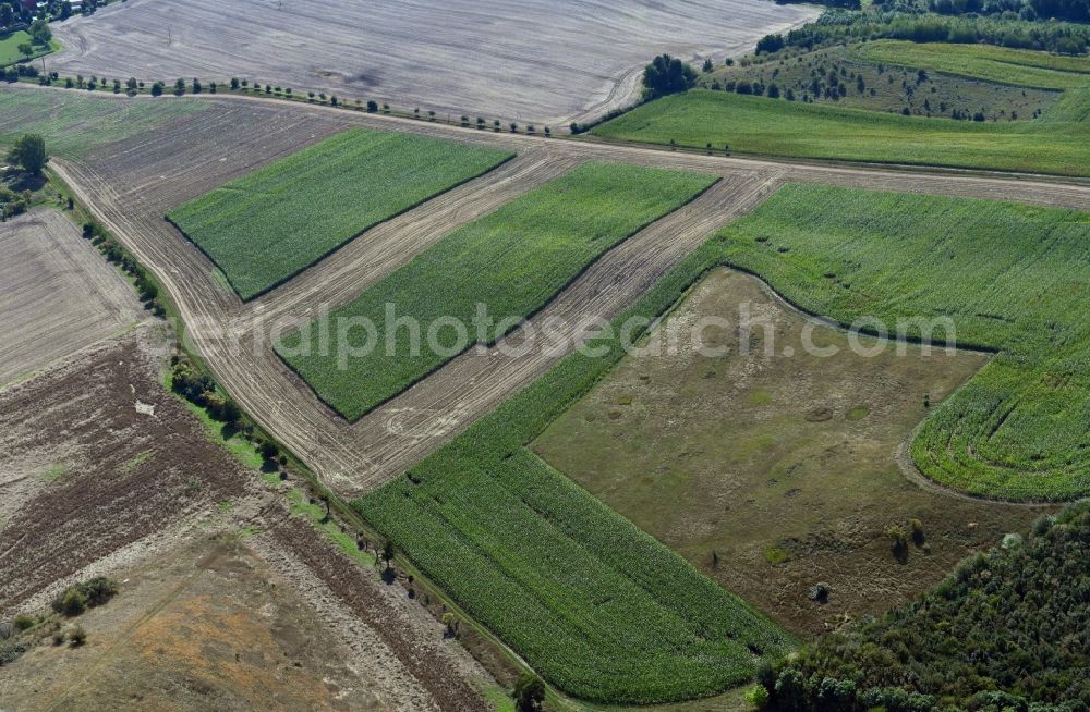 Aerial photograph Teicha - Structures on agricultural fields in Teicha in the state Saxony-Anhalt, Germany