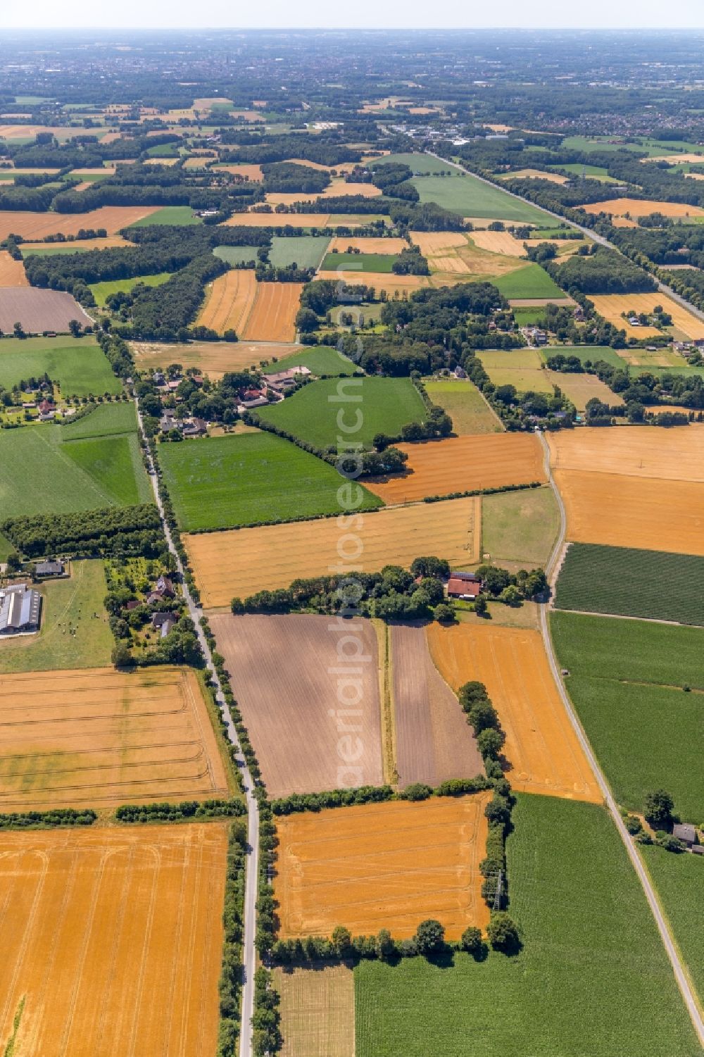 Aerial photograph Telgte - Structures on agricultural fields in Telgte in the state North Rhine-Westphalia, Germany