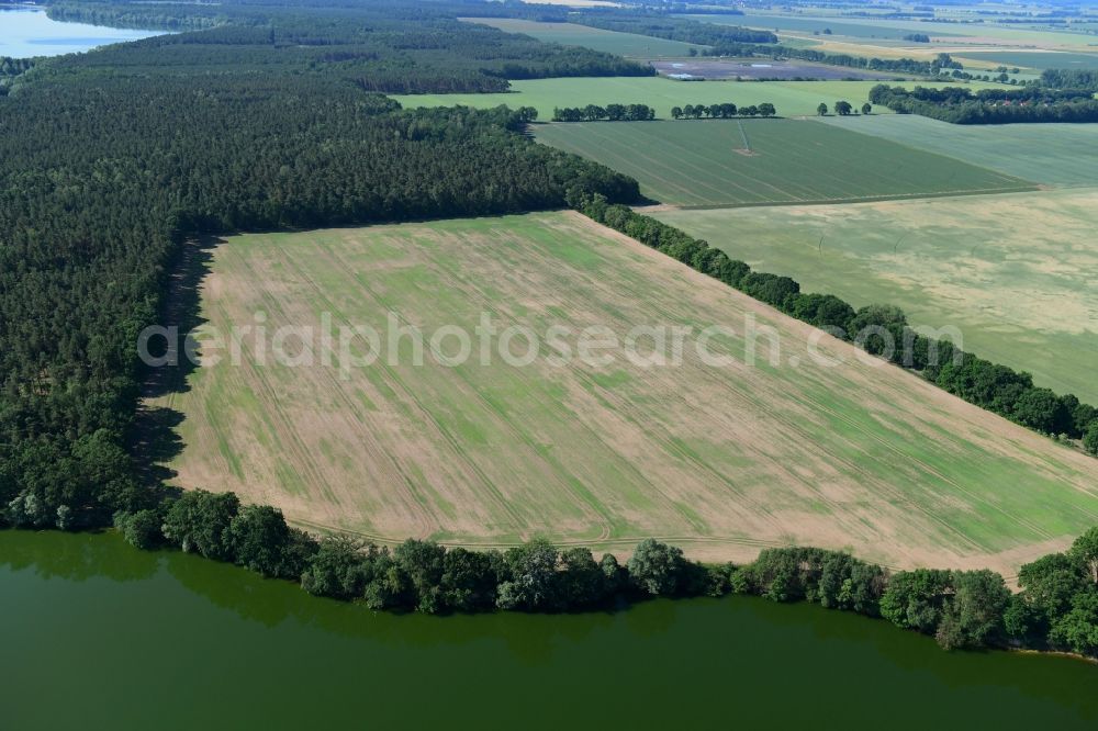 Drewen from the bird's eye view: Structures on agricultural fields on shore of lake Obersee in Drewen in the state Brandenburg, Germany