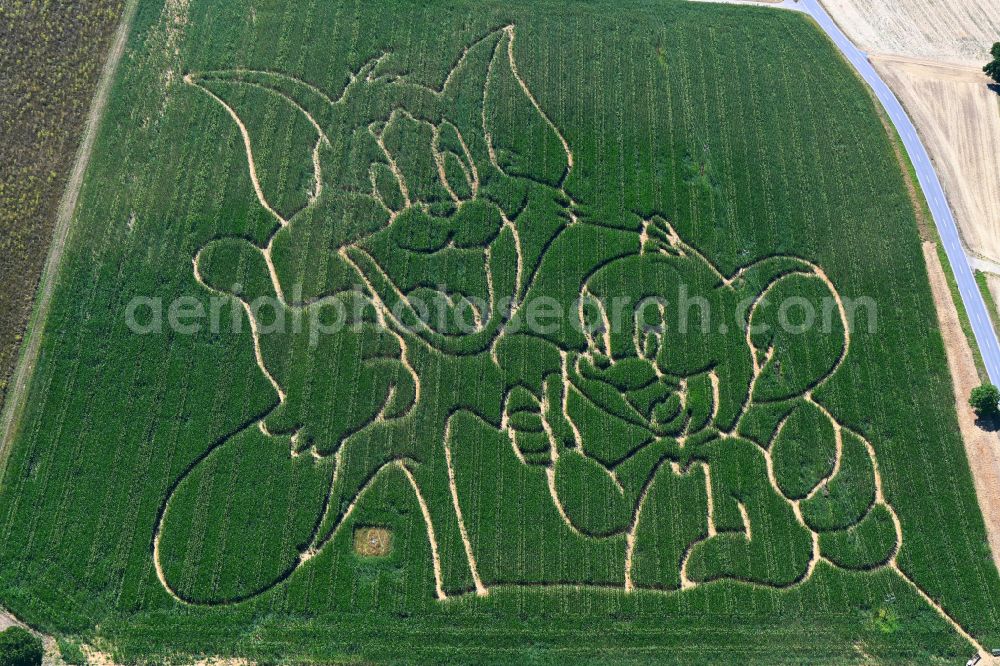 Aerial image Kraichtal - Structures on agricultural fields with outlines of Tom & Jerry in Kraichtal in the state Baden-Wuerttemberg, Germany