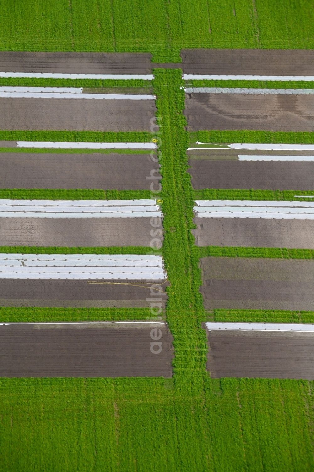 Aerial photograph Nauen - Structures on agricultural fields a pilot plant in Nauen in the state Brandenburg, Germany