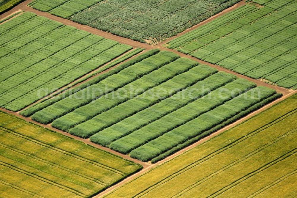 Roßleben-Wiehe from above - Structures on agricultural fields - proving agricultural fields on Ziegelrodaer Strasse in the district Rossleben in Rossleben-Wiehe in the state Thuringia, Germany