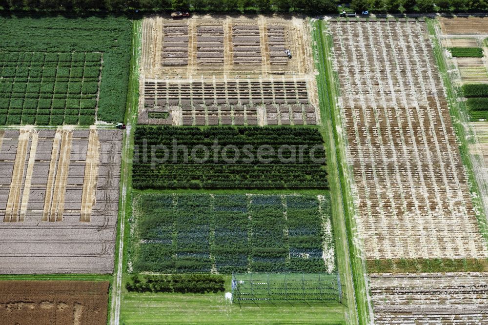 Stuttgart from the bird's eye view: Structures on agricultural test fields and test series der Versuchsstation Agrarwissenschaften of Universitaet Hohenheim in Stuttgart in the state Baden-Wuerttemberg, Germany