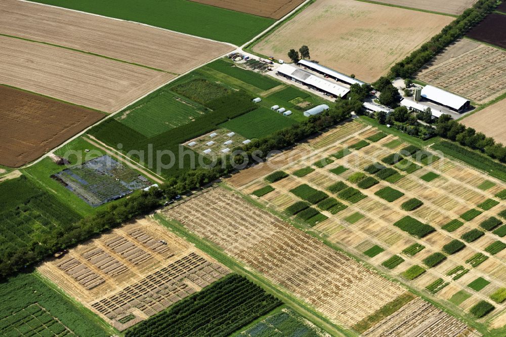 Aerial image Stuttgart - Structures on agricultural test fields and test series der Versuchsstation Agrarwissenschaften of Universitaet Hohenheim in Stuttgart in the state Baden-Wuerttemberg, Germany