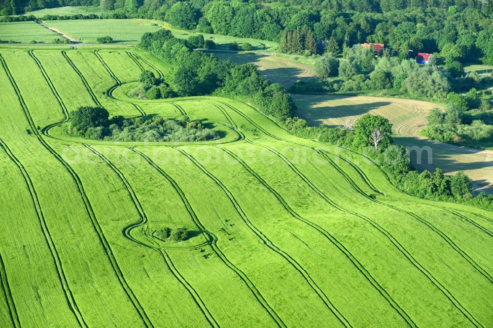 Aerial image Vollrathsruhe - Structures on agricultural fields in Vollrathsruhe in the state Mecklenburg - Western Pomerania, Germany