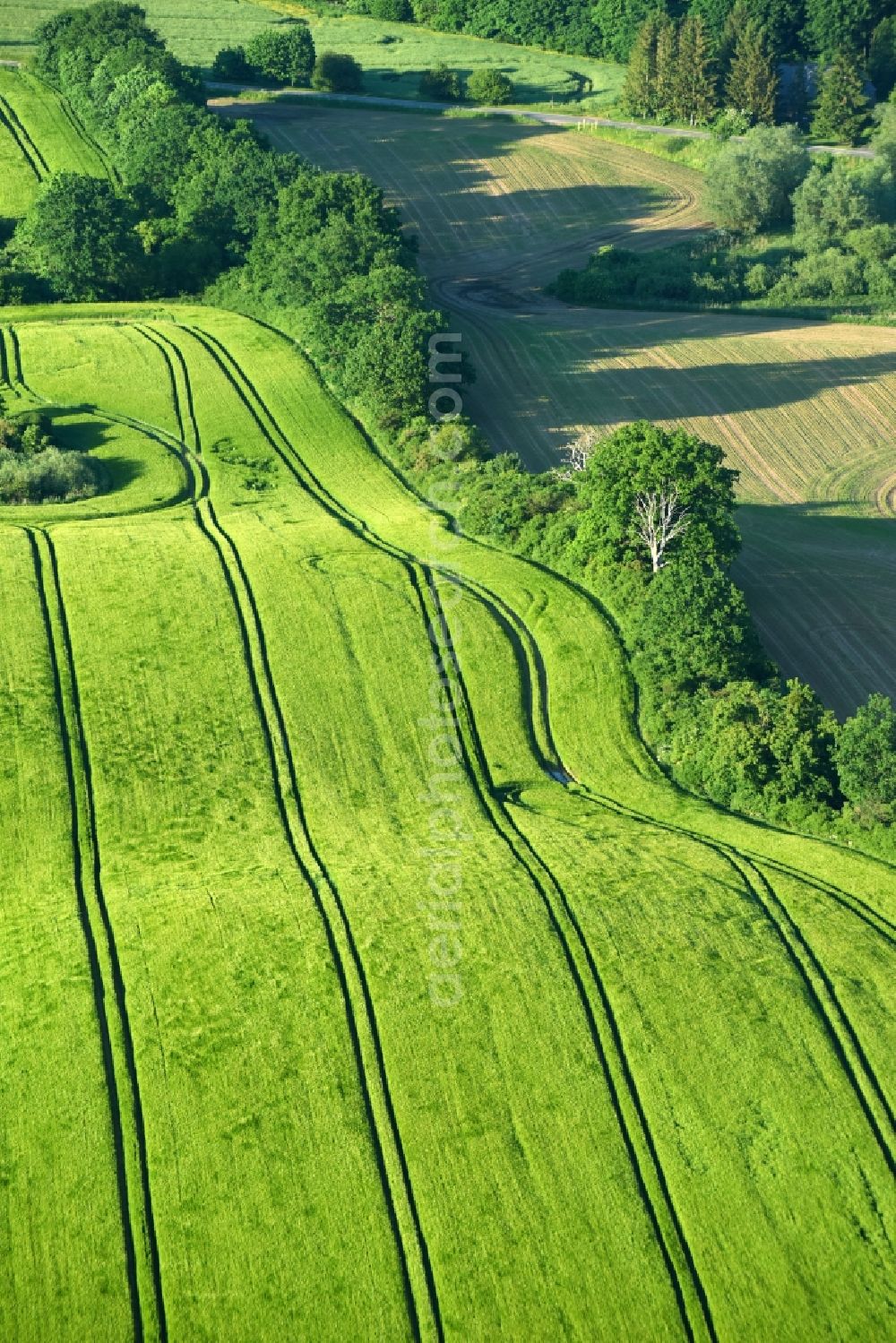 Aerial photograph Vollrathsruhe - Structures on agricultural fields in Vollrathsruhe in the state Mecklenburg - Western Pomerania, Germany