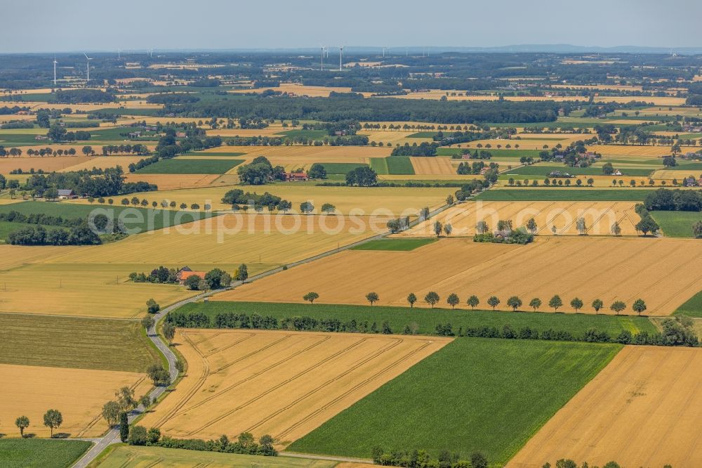 Aerial photograph Wadersloh - Structures on agricultural fields along the Goettinger Breede in Wadersloh in the state North Rhine-Westphalia, Germany