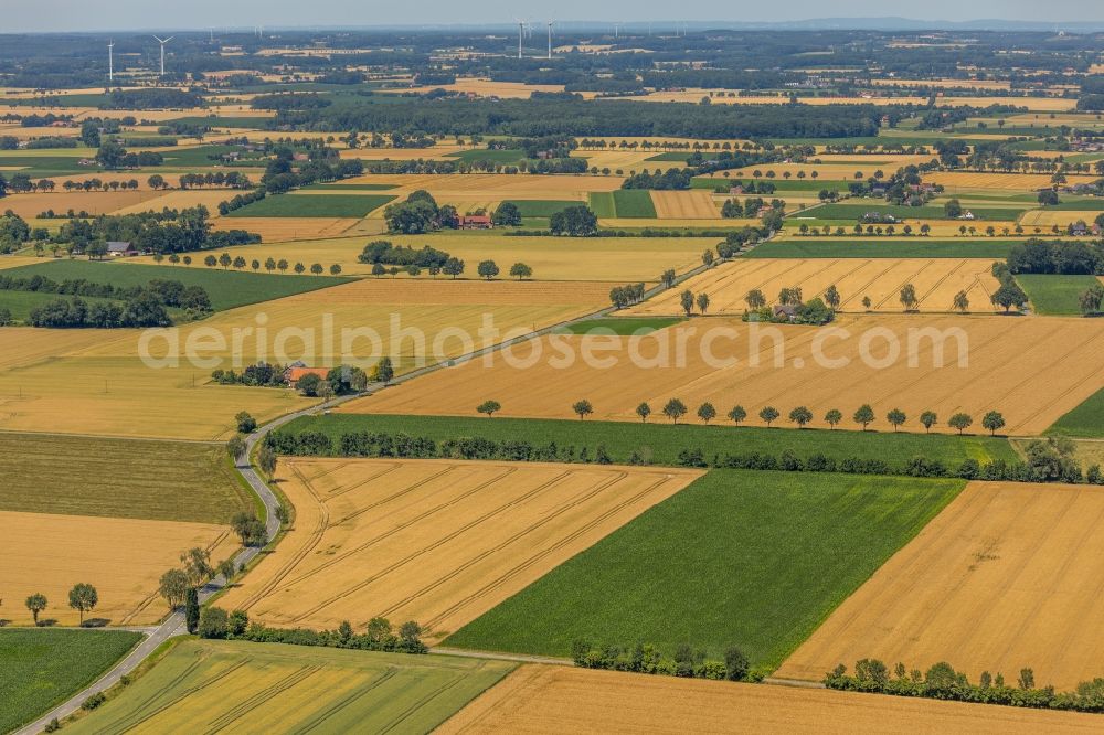 Wadersloh from above - Structures on agricultural fields along the Goettinger Breede in Wadersloh in the state North Rhine-Westphalia, Germany